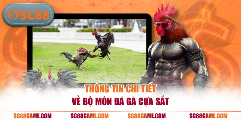 Thông tin chi tiết về bộ môn đá gà cựa sắt